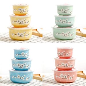 Factory direct ceramic salad bowl fresh bowl set